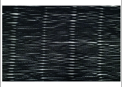 Rede Proteção Anti Pássaro - Foto 1